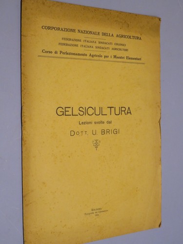 Gelsicultura brigi - , u